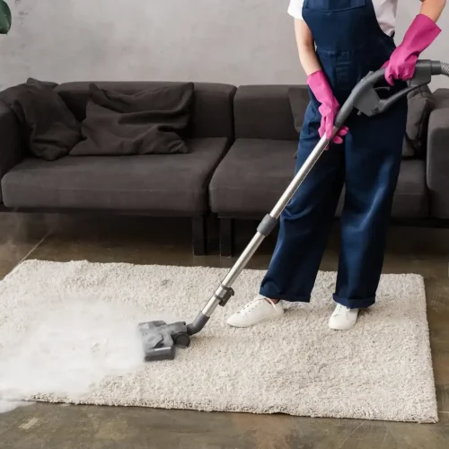 Spray & Sparkle - Carpet Cleaning - 2