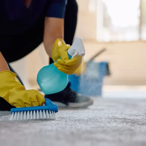 Spray & Sparkle - Carpet Cleaning - 5
